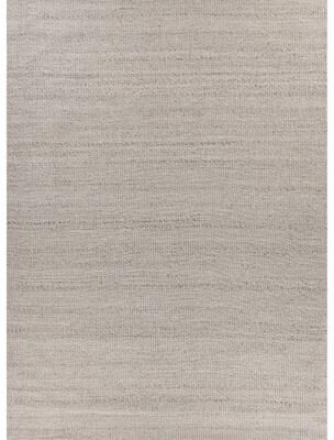 EXQUISITE RUGS Hesse Handwoven Polyester/Cotton Beige Area Rug.