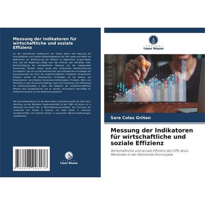 Messung der Indikatoren für wirtschaftliche und soziale Effizienz, Taschenbuch von Sara Colas Grinan, Verlag Unser Wissen, 978-620-8-90317-6