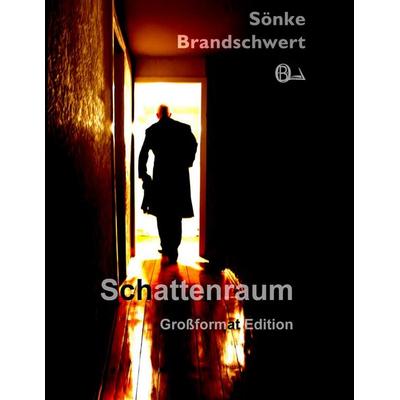 Schattenraum, Taschenbuch von Sönke Brandschwert, BoD - Books on Demand, 978-3-942725-12-5