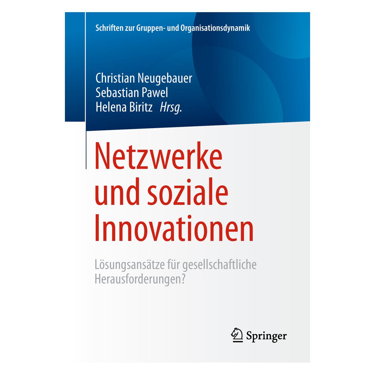 Springer Netzwerke und soziale Innovationen (Deutsch, Softcover, Christian Neugebauer) (9189857)