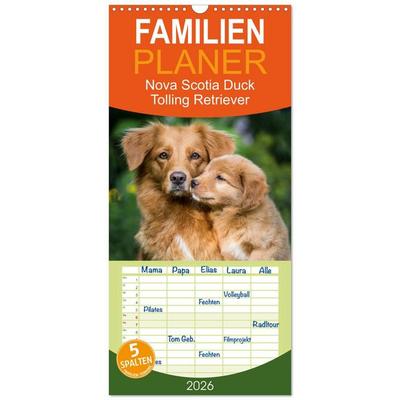 Familienplaner 2026 - Toller - Nova Scotia Duck Tolling Retriever mit 5 Spalten (Wandkalender, 21 x 45 cm) CALVENDO
