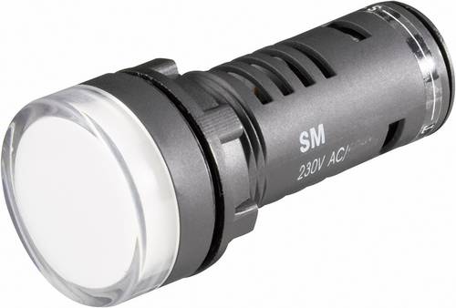 Barthelme 58602413 LED-Signalleuchte Grün 24 V/DC, 24 V/AC