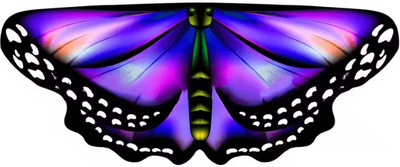 Inspire Curations Kids Butterfly Wings Cape Colorful Fairy Shawl Fancy Dress Costume 2