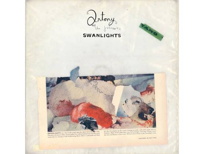 Antony And The Johnsons - Swanlights