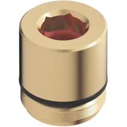 Dornbracht Huelse 9017011880090 roh