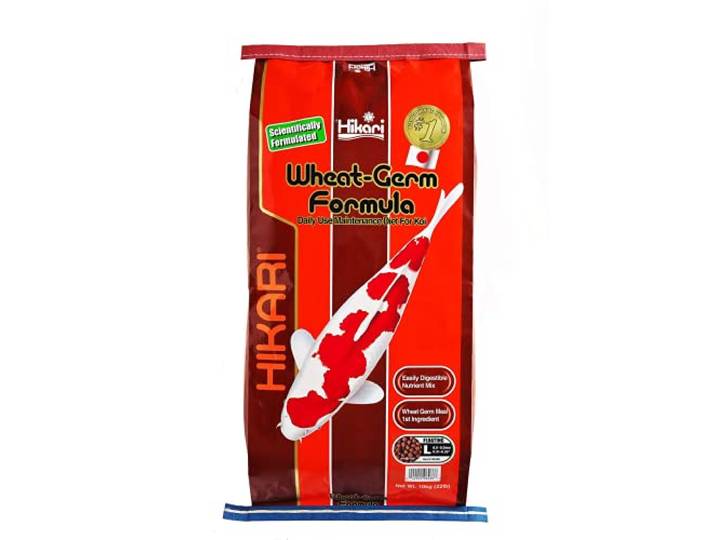 Hikari Wheat-Germ Large 10 KG