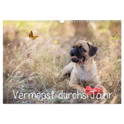 Vermopst durchs Jahr (Wandkalender 2026 DIN A3 quer), CALVENDO Monatskalender