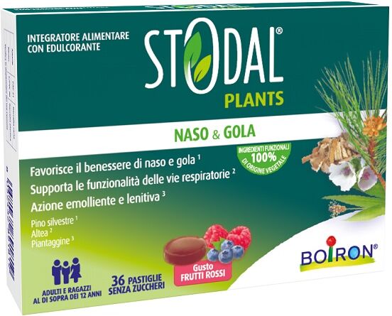 BOIRON Srl STODAL Plants 36 Past.Fr.Rossi