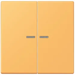 Jung Wippe mit Lichtleiter LC 102 KO5 254