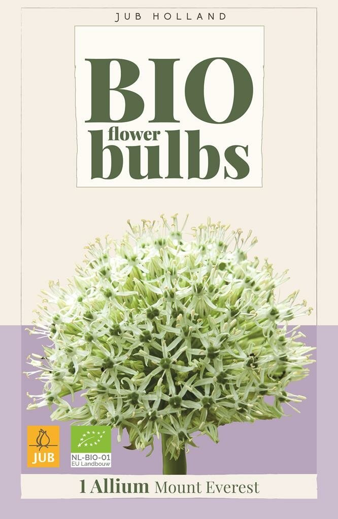 Bio Allium Mount Everest bol