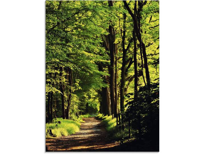 Glasbild ARTLAND Weg im Wald , grün (farbe bild(er): grün), B:45cm H:60cm, Bilder, Glasbild, in verschiedenen Grössen
