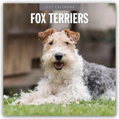 Fox Terriers – Foxterrier 2027 – 16-Monatskalender