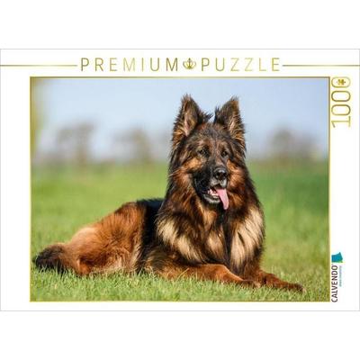 CALVENDO Puzzle Wunderschöner Schäferhund Rüde | 1000 Teile Lege-Größe 64x48cm Foto-Puzzle für glückliche Stunden
