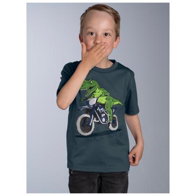 T-Shirt TRIGEMA "TRIGEMA T-Shirt mit Dino Motiv "No Risk No Fun", Jungen, Gr. 140, anthrazit, Single Jersey, 100% Baumwolle, Basic, Rundhals, Shirts T-Shirt