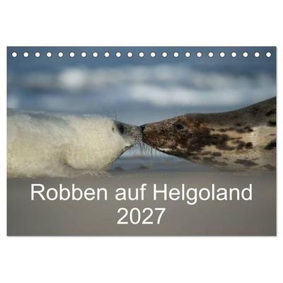 Robben auf Helgoland 2027 (Tischkalender 2027 DIN A5 quer), CALVENDO Monatskalender