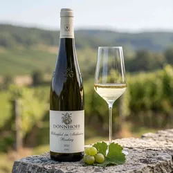 Weingut Dönnhoff 2023 Dönnhoff Riesling Höllenpfad im Mühlenberg GG 2023 Riesling Deutschland