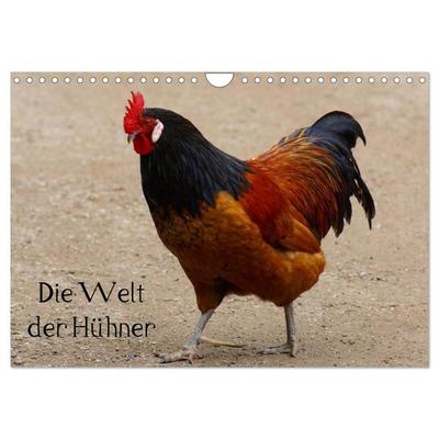 Die Welt der Hühner (Wandkalender 2026 DIN A4 quer), CALVENDO Monatskalender