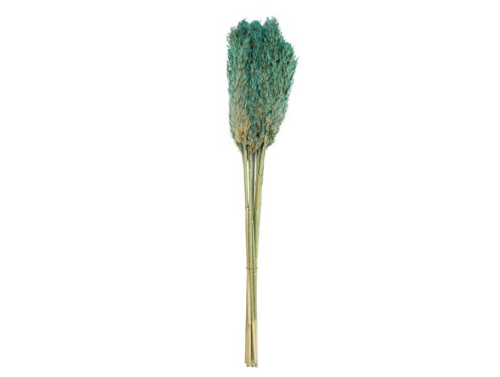 Pampasgras im 10er-Bund, Trockenblumen Deko in Vasen oder Gestecken, hellgrün, 75 cm