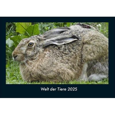 Welt der Tiere 2025 Fotokalender DIN A4