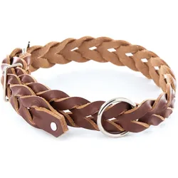 Martin Sellier Halsband für Hund aus geflochtenem Vollleder (Hund, Allgemein, Spazieren), Halsband + Leine