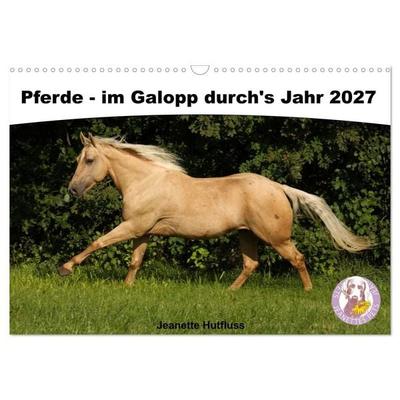 Pferde - im Galopp durch's Jahr 2027 (Wandkalender 2027 DIN A3 quer), CALVENDO Monatskalender