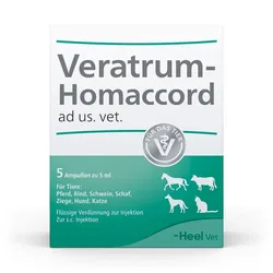 VERATRUM HOMACCORD ad us.vet.Ampullen 5 St
