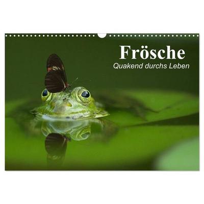 Frösche. Quakend durchs Leben (Wandkalender 2027 DIN A3 quer), CALVENDO Monatskalender