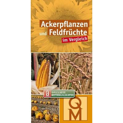 Ackerpflanzen und Feldfrüchte im Vergleich, Sonstige von , Quelle & Meyer, 978-3-494-01884-3