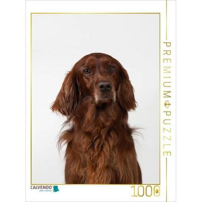 CALVENDO Puzzle Ein Motiv aus dem Kalender Hunde im Portrait | 1000 Teile Lege-Größe 64x48cm Foto-Puzzle für glückliche Stunden