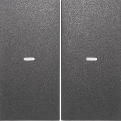 Berker Tast-Abdeckung 2f. anth 80960385