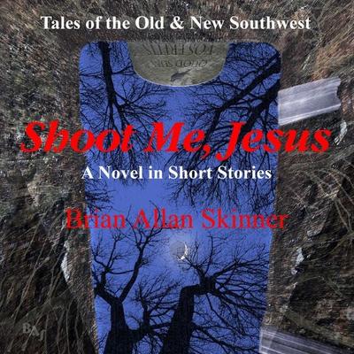 Shoot Me, Jesus - Brian Allan Skinner, Audio, 9781949278576