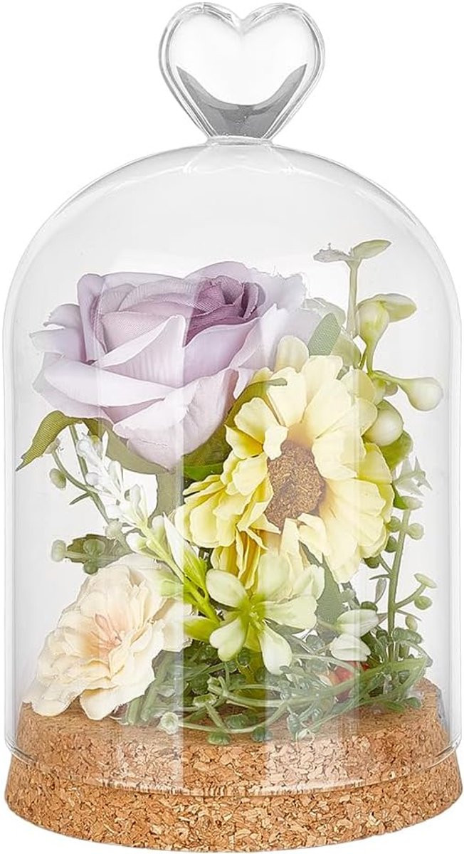 Dailygoods Glazen Display Dome met Kurken Basis - Decoratieve Koepel voor Huisdecoratie - 16,4 x 9,1 cm