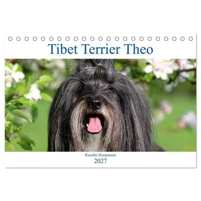 Tibet Terrier Theo (Tischkalender 2027 DIN A5 quer), CALVENDO Monatskalender
