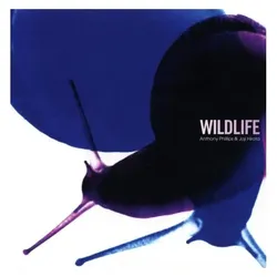 Tonpool, Schallplatten, Phillips:Wildlife (Anthony Phillips, Joji Hirota)