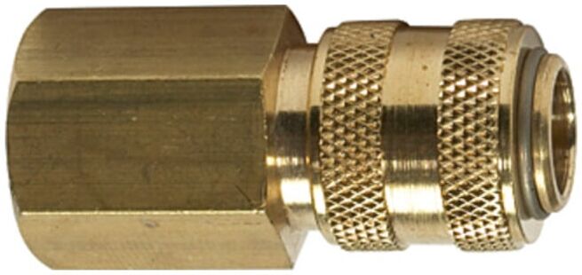 Raccord rapide RIEGLER NW 5 Ligne de raccordement NW 5 Ligne de raccordement MS vierge G 1/4 i. (243.21-E)