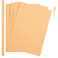 Clairefontaine Maya Fotokarton 50x70cm 270g 125 Bogen - Aprikose 397264C