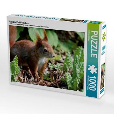 Putziges Eichhörnchen (Puzzle)
