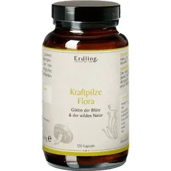 Kraftpilze Flora – Vitalpilz Synergetikum – 120 Kapseln