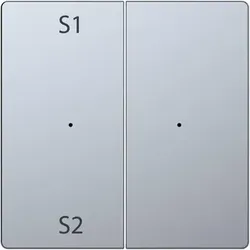Merten Wippe für Taster-Modul 2fach (Szene 1/2, blank), System Design Edelstahl (lackiert)