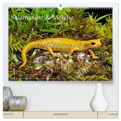 Salamander und Molche (hochwertiger Premium Wandkalender 2027 DIN A2 quer), Kunstdruck in Hochglanz