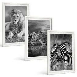 BILDER SET 3er Set - 40x60 cm Weißer Rahmen - Wildtiere der Savanne