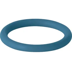 Geberit Mapress Dichtring FKM blau d54