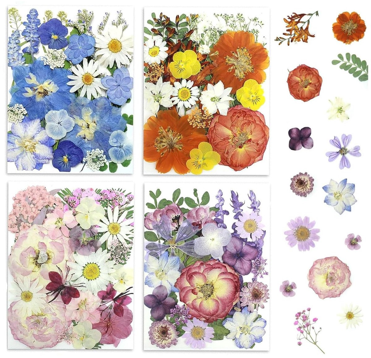 Omgoods - 100 stuks gedroogde bloemen set voor creatieve projecten