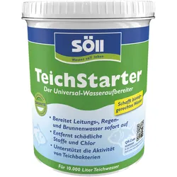 Söll TeichStarter 1 kg