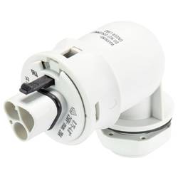 Wieland Electric 96.034.6053.0 Geräteanschluss