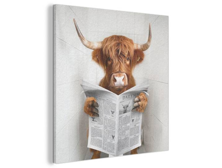 MuchoWow Akustikbild - Schottischer Highlander - Tier - Zeitung - Toilette - 90x90, Kastanienfarben, Kunststoff, Quadratisch, 90x90x0.9 cm, Wandverkleidung, Akustikpaneele