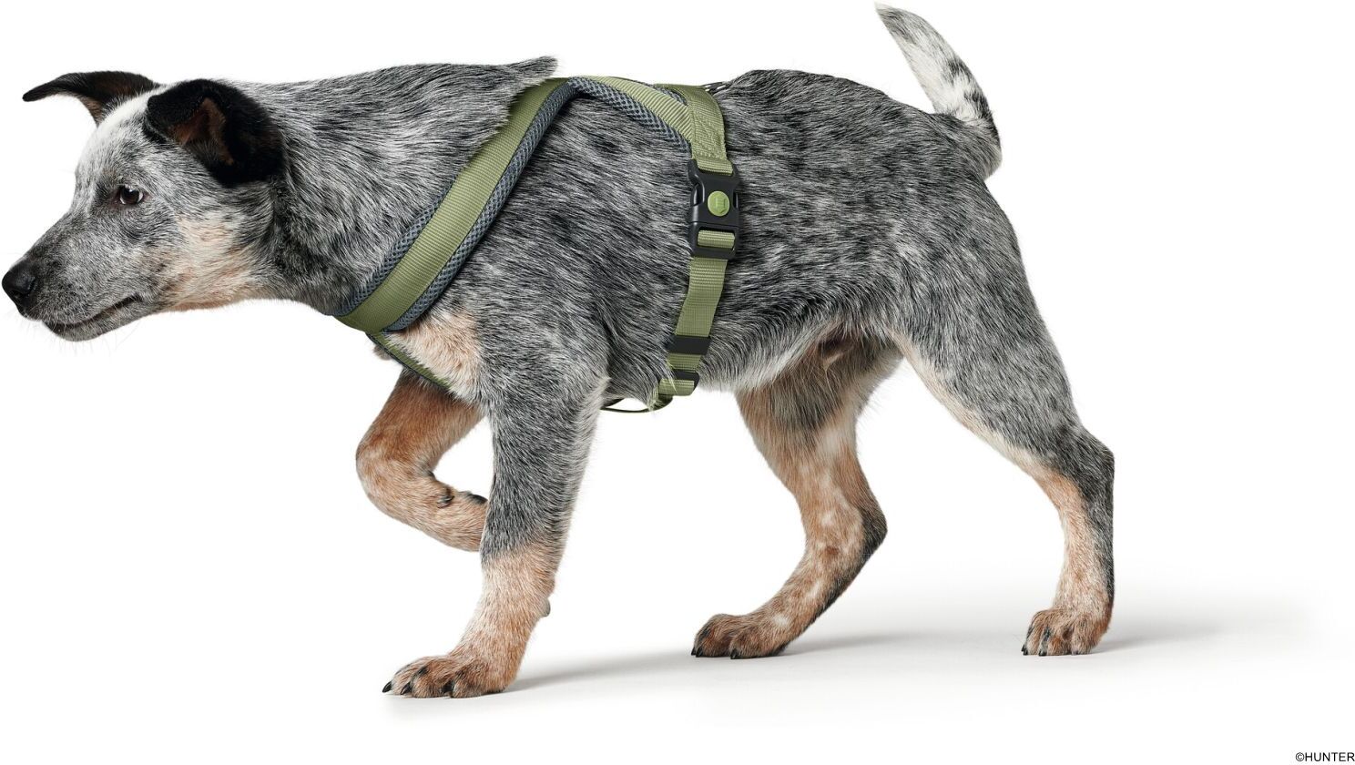 DOG SPORT HUNTER Geschirr London Comfort M, oliv