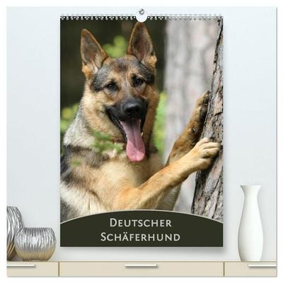 Deutscher Schäferhund (hochwertiger Premium Wandkalender 2027 DIN A2 hoch), Kunstdruck in Hochglanz