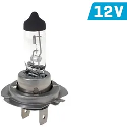 Vision H7 Common Glühlampe Licht Halogen Autolampe 12V 55W PX26D E4