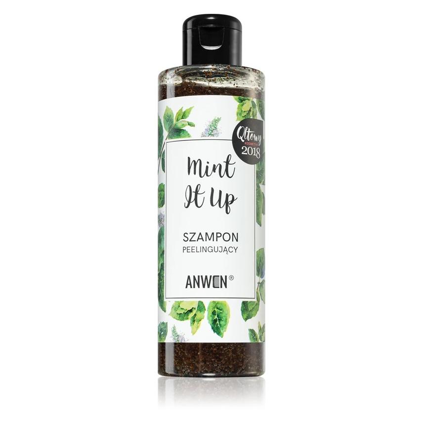 Anwen Mint It Up Hair Scrub Shampoo (Flüssiges Shampoo, 200 ml) (5907222404058)